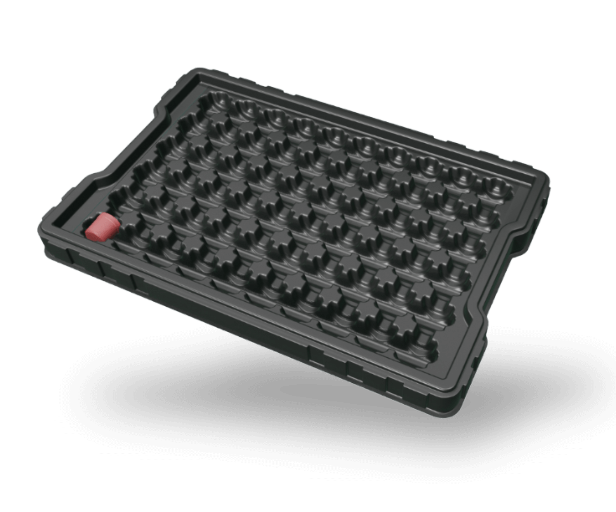 Tiefziehtray 3D Modell